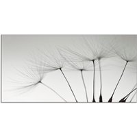 Artland Küchenrückwand "Pusteblumen-Samen I", (1 tlg.), Alu Spritzschutz mit Klebeband, einfache Montage grau - B/H: 100 cm x 50 cm - Rabatt: 43 % Küchenrückwände online kaufen